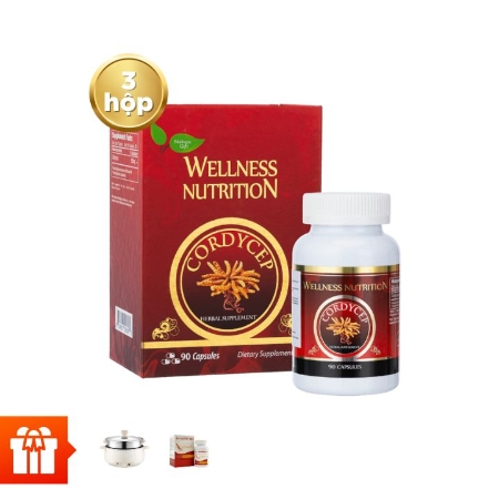 [Đoàn viên - 60P] NATURE GIFT - Combo 3 hộp Wellness Nutrion đông trùng hạ thảo (90v/ hộp) + 1 nồi lẩu hấp đa năng Mishio + 1 hộp TPBVSK A+ Ginseng 60v/hộp