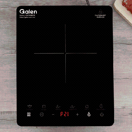 [30.04]GALEN - Bếp Điện Từ Galen PE0224