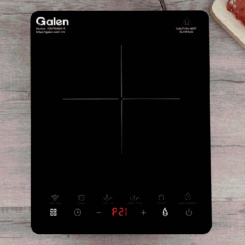 [30.04]GALEN - Bếp Điện Từ Galen PE0224