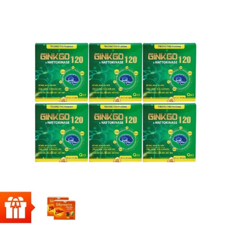 [Dropship] TẦM XUÂN - Combo 6 hộp bổ não, ngăn ngừa tai biến Ginkgo & Nattokinase 120 (100viên) + 2 hộp Silymarin Hỗ trợ thải độc gan (30 viên/hộp)