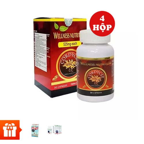 [GD 60p] Combo 4 hộp TPBVSK Viên đông trùng hạ thảo Wellness Nutrition (90 viên/ hộp) + 1 Não 60v + 1 Yến sào 6 lọ Evernest hương lá dứa 15%