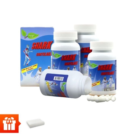 [BF] NATURE GIFT - Combo 4 hộp TPBVSK Shark Cartilage (100 viên/ hộp) (sụn cá mập) + 1 Gối cao su non