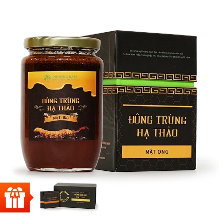 [PGM]_Đông Trùng Hạ thảo mật ong + Hộp trà túi lọc Đông Trùng Hạ Thảo