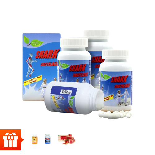 [60P RS12] NATURE GIFT - Combo 4 hộp TPBVSK Shark Cartilage ( 100 viên/ hộp) (sụn cá mập) + 1 hộp Omega3 100v + 1 hộp canxi 60v + 1 hộp trà sâm