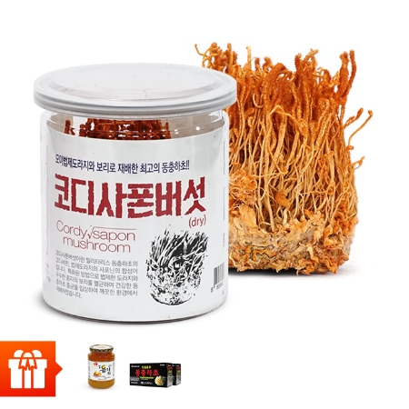 1 hộp đông trùng hạ thảo Hàn Quốc( dạng khô) 45g+1 lọ trà chanh mật ong Citron Honey tea 580g + 20 chai đông trùng hạ thảo 100ml