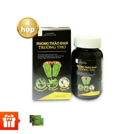 [ZP] TX-Combo 4 hộp TPBVSK Phong Thảo Đan Trường Thọ 60 viên/ hộp -hỗ trợ giảm sưng đau khớp do bệnh gout + 2 hộp bổ não, phòng đột quỵ Ginko 30 viên