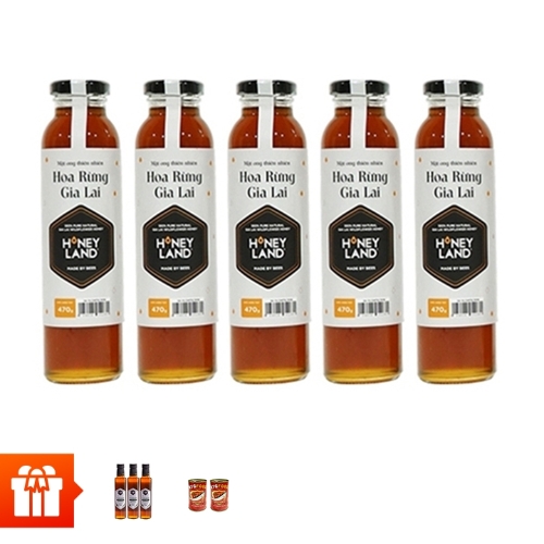 HONEYLAND - Combo 5 chai mật ong hoa rừng Gia Lai 470g + 2 chai mật ong điện biên 380g + 2 lon Cá sardine sốt cà 155g - 85g (202-308)