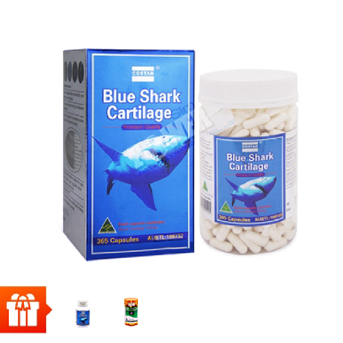 [NCM]COSTAR- Combo 1 hộp sụn cá mập Shark Catilage  365v + 2 hộp sụn cá mập shark (120v/hộp) ) + 1 hộp bổ xương khớp Glucosamine(30v/hộp)