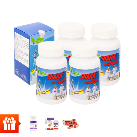 [GĐ 60p] Combo 4 hộp TPBVSK Shark Cartilage ( 100 viên/ hộp) (sụn cá mập)+  1 hộp Healthy Life Sleep aid 30v hỗ trợ giấc ngủ + 1 Healthy Life Vein care 30v + 1 Trà sâm