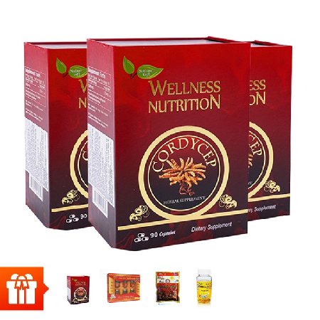 Mega RS-NATURE GIFT - Combo 3 hộp TPBVSK Viên đông trùng hạ thảo Wellness Nutrition (90 viên/ hộp)+1 hộp cùng loại + 1 hộp yến sào Cung đình+ 1 kẹo sâm+ 1 hộp Omega 369 30 viên