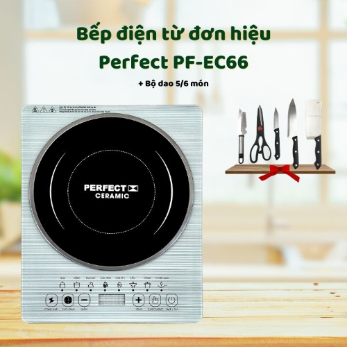  [SDeal] Bếp điện từ đơn hiệu Perfect PF-EC66