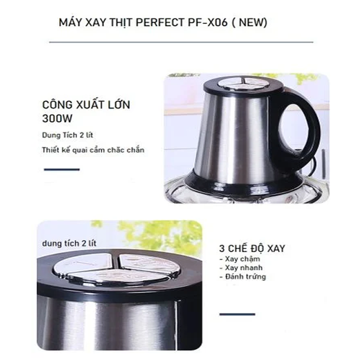 Máy Xay Thịt PF-X06 2