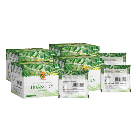 								BẢO LONG - Combo 4 Hộp Thực Phẩm Bổ Sung Trà Thảo Mộc Hoàng Kỳ (Hộp 20 Gói X 2g/gói)
								
