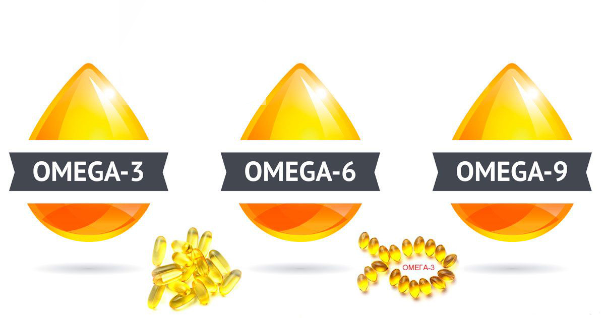  Omega 369 1 hộp Omega 369 1 hộp Wellness Nutrition 1 hộp Shark Cartilage hộp sụn c mập